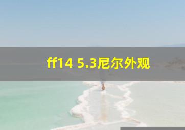 ff14 5.3尼尔外观